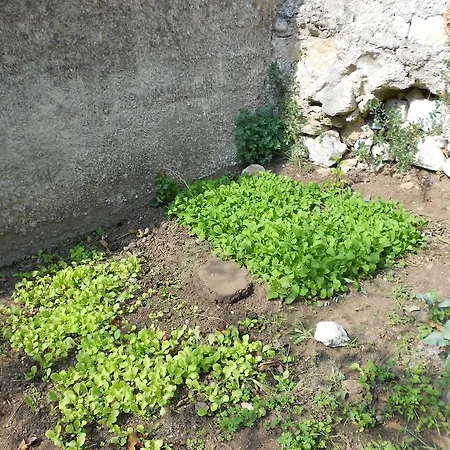 Frühstückspension Victoria Ragusa